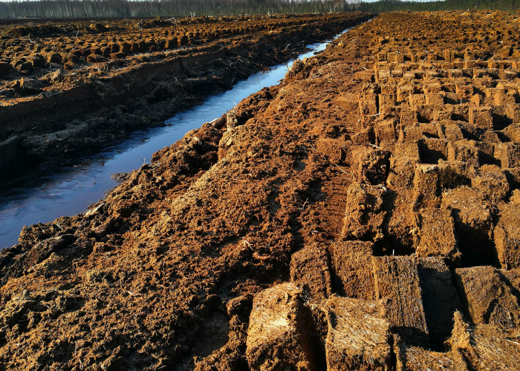 Что такое слабокислый торф