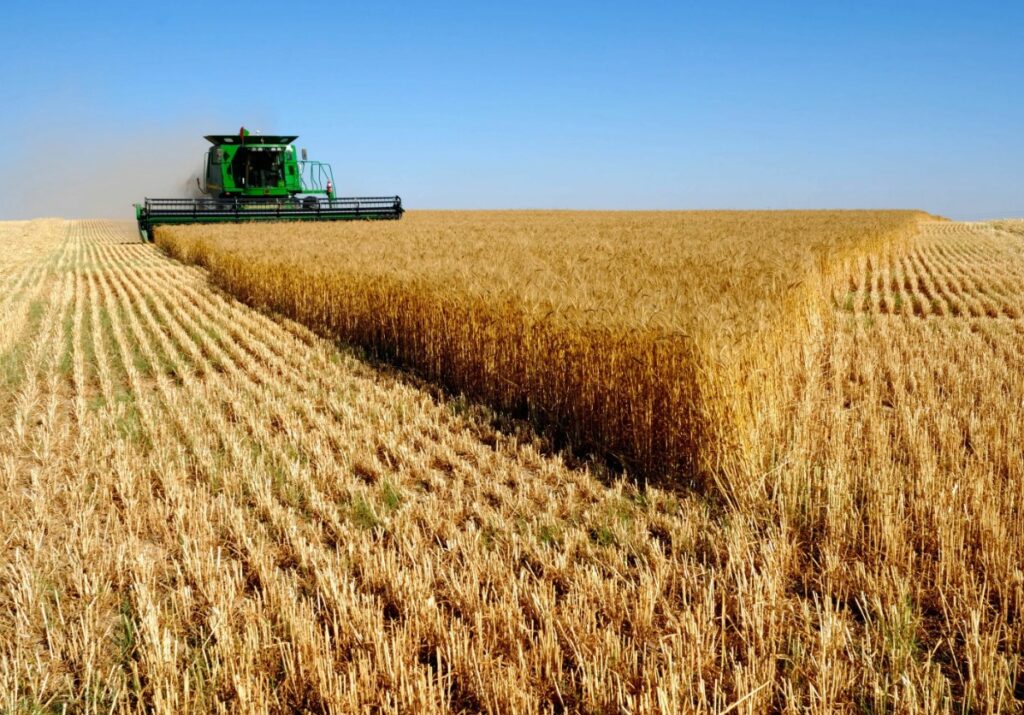 Что можно и нельзя компостировать из органических отходов