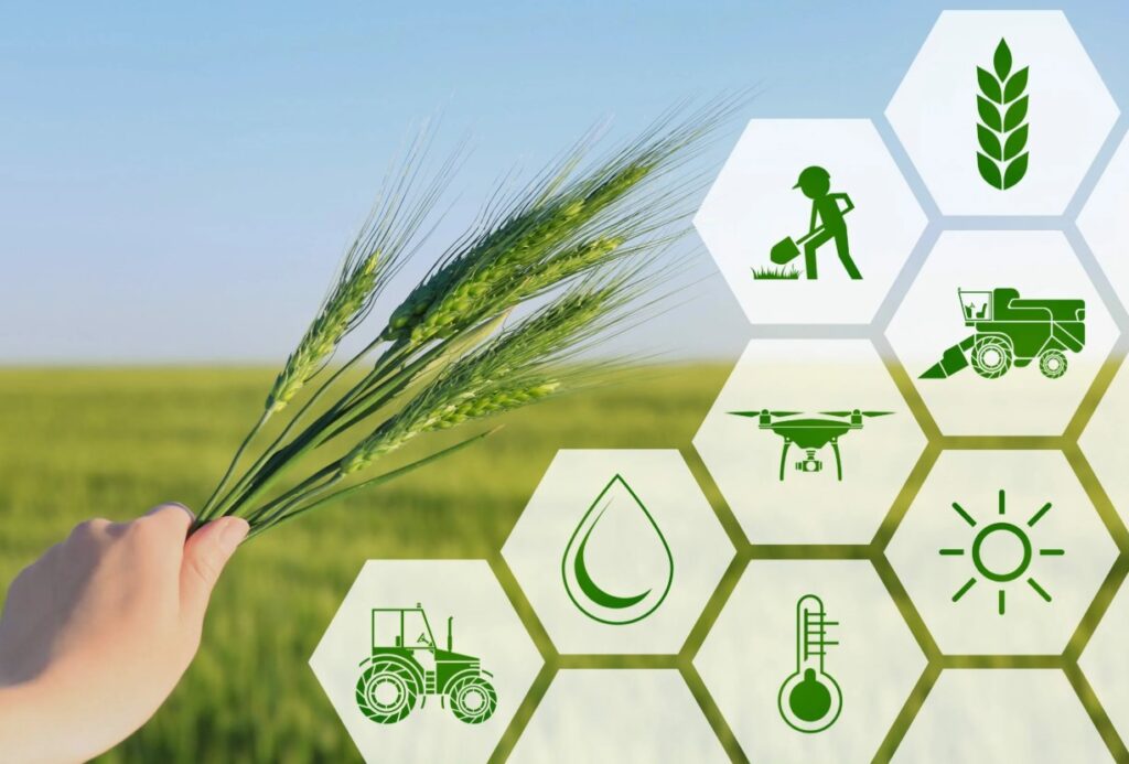 Калийная селитра (KNO₃) в органическом земледелии - можно ли использовать её без ущерба для экологии