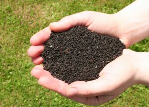 Как органические удобрения способствуют улучшению структуры почвы