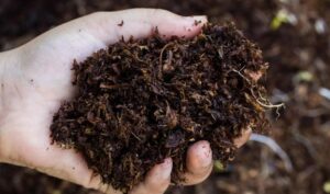 Как органические удобрения способствуют улучшению структуры почвы