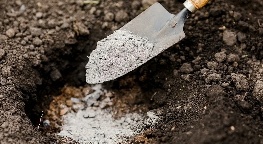 Зола от сжигания растительных отходов - как она помогает повышению урожайности