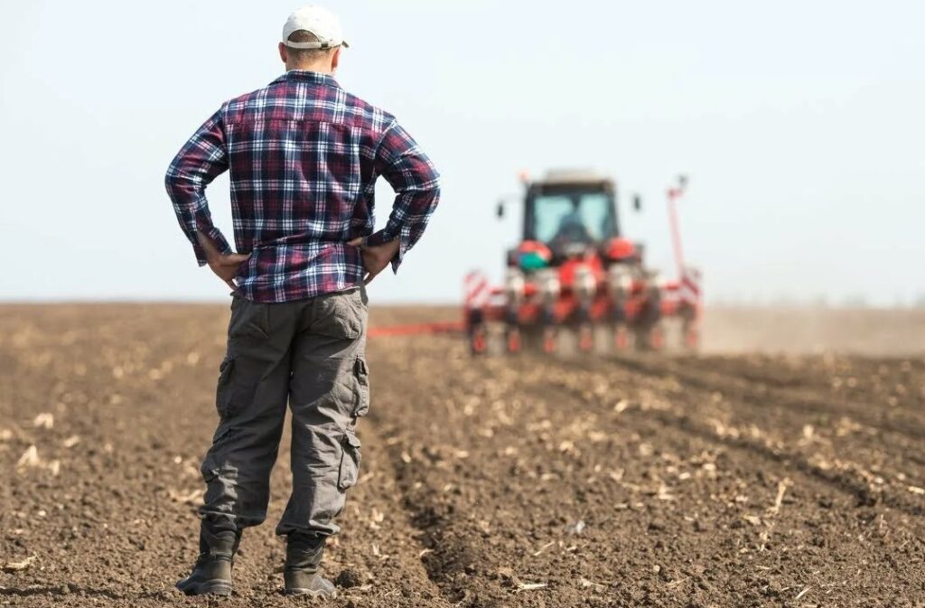 Фосфорные удобрения в саду и огороде - когда и как вносить