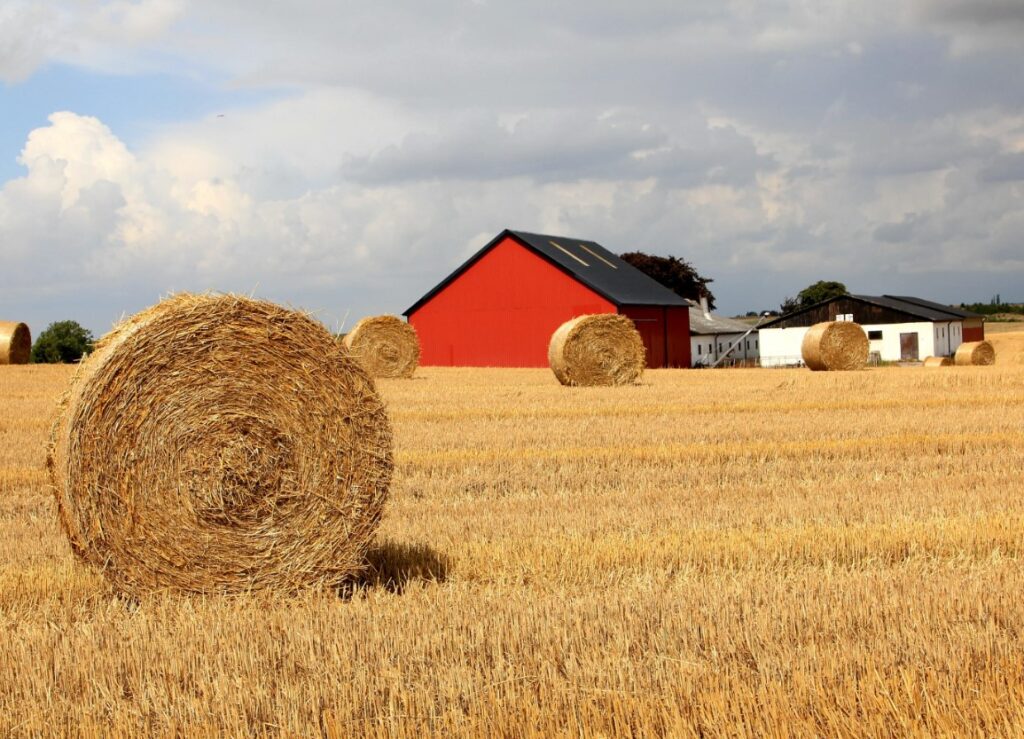 Калийная селитра (KNO₃) и её роль в улучшении структуры почвы