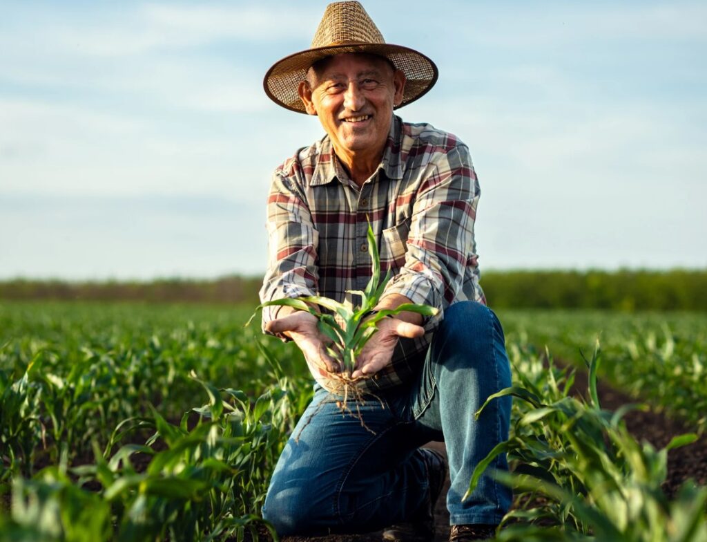 Объяснение состава калийной селитры, её роли в питании растений, как она способствует их росту и улучшению здоровья.