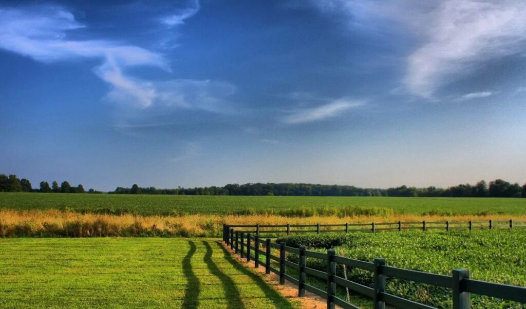 Обсуждение того, как калийная селитра влияет на улучшение физико-химических характеристик почвы, способствует её улучшению и увеличивает плодородие.