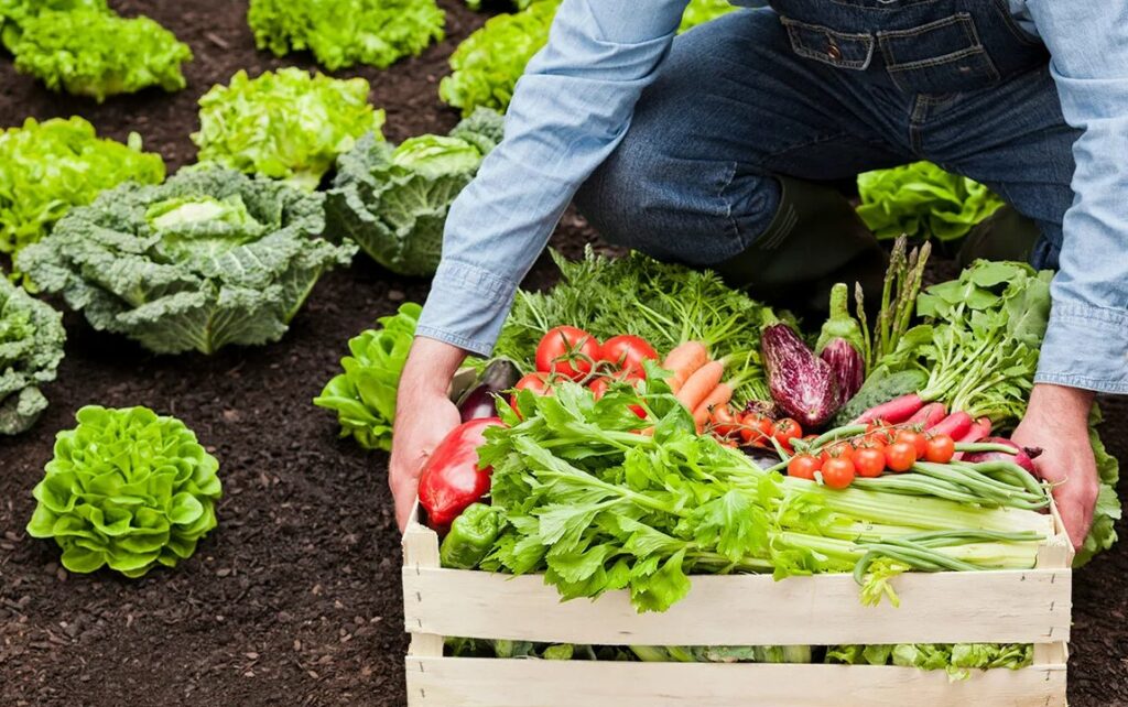 Как использовать смеси без вреда для растений