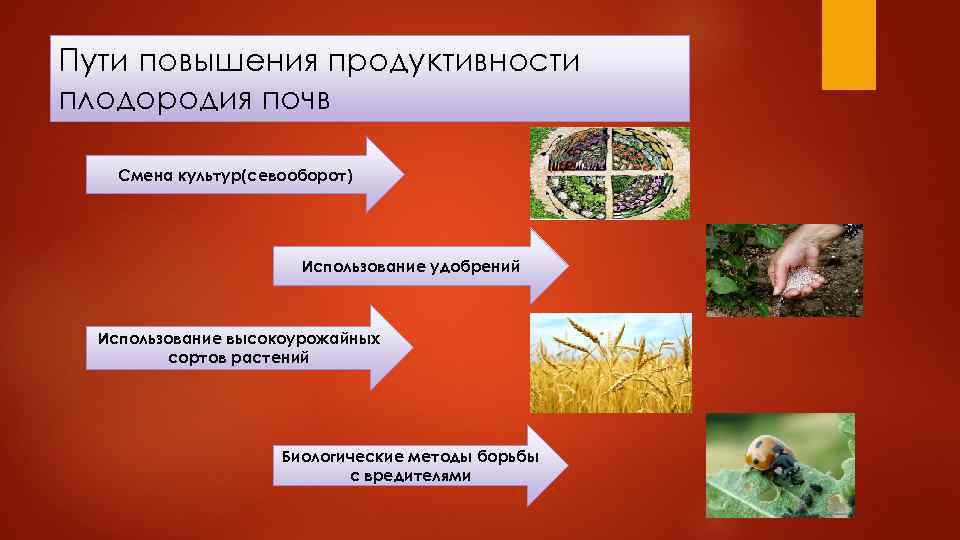 Роль макро- и микроэлементов в питании растений