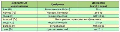 Овощные культуры
