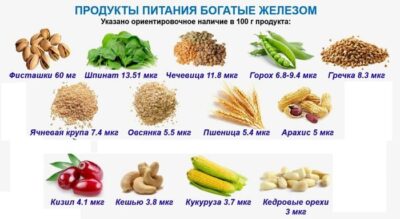 Оптимальные уровни магния в почве и растениях