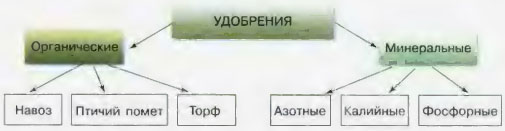 Определение микроудобрений и их состав