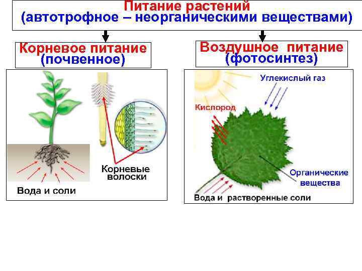 Синтез важных соединений