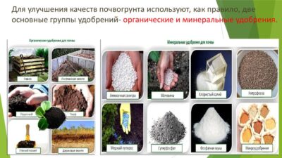 Основные макроэлементы и их функции