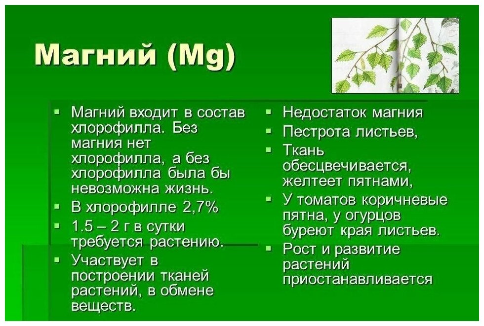 Преимущества использования магния для улучшения качества почвы
