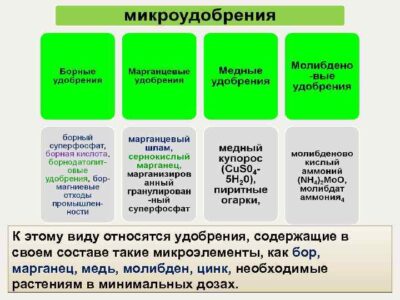 Железо (Fe)