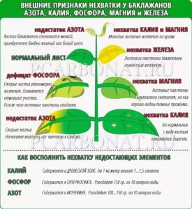 Основные функции магния