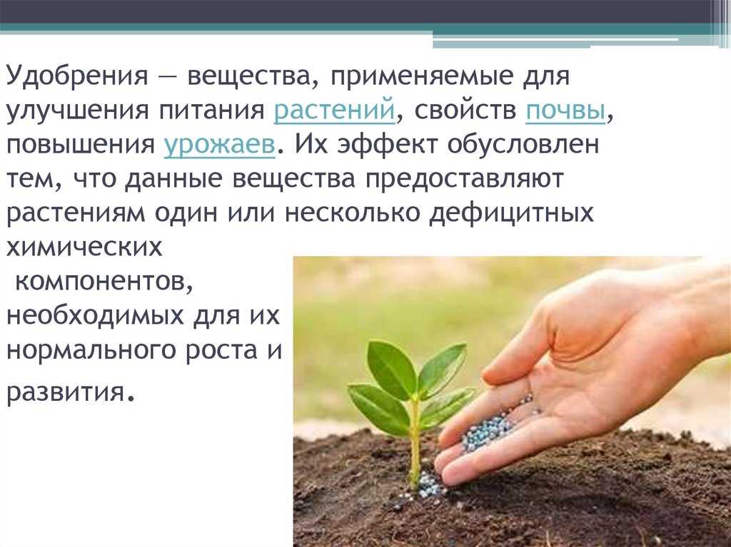 Микроэлементы: незаменимые помощники растений