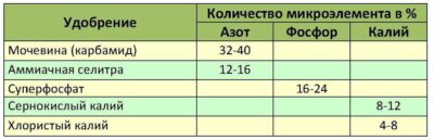 Избыток фосфора: последствия для растений