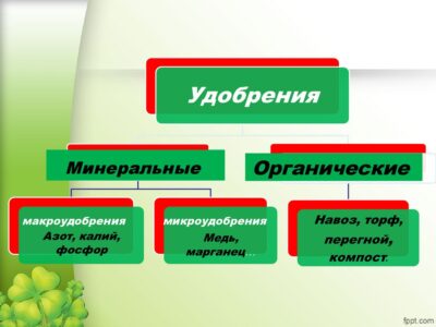 Супесчаные и песчаные почвы