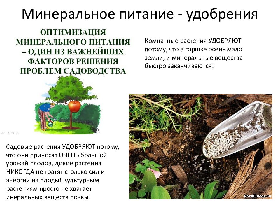 Анализ почвы