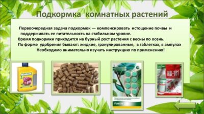 Влияние на микрофлору и структуру почвы