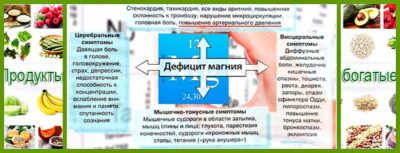 Органические и неорганические источники магния