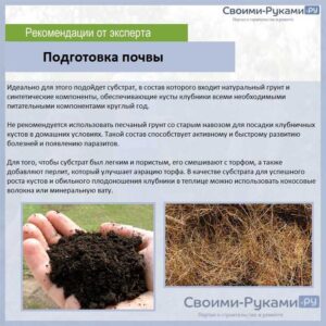 Способы внесения железа в почву
