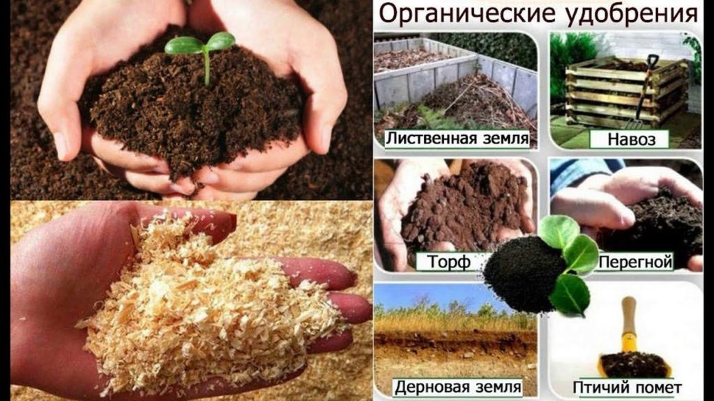 Методы применения удобрений для оптимизации результатов