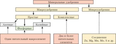 Микроудобрения для песчаных почв: что учитывать?