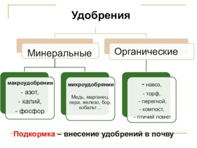 Положительное воздействие микроудобрений