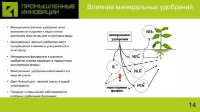 Как недостаток питательных веществ влияет на урожай