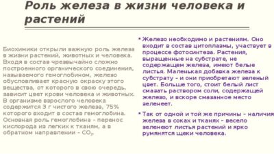 Железосодержащие препараты: выбор и применение