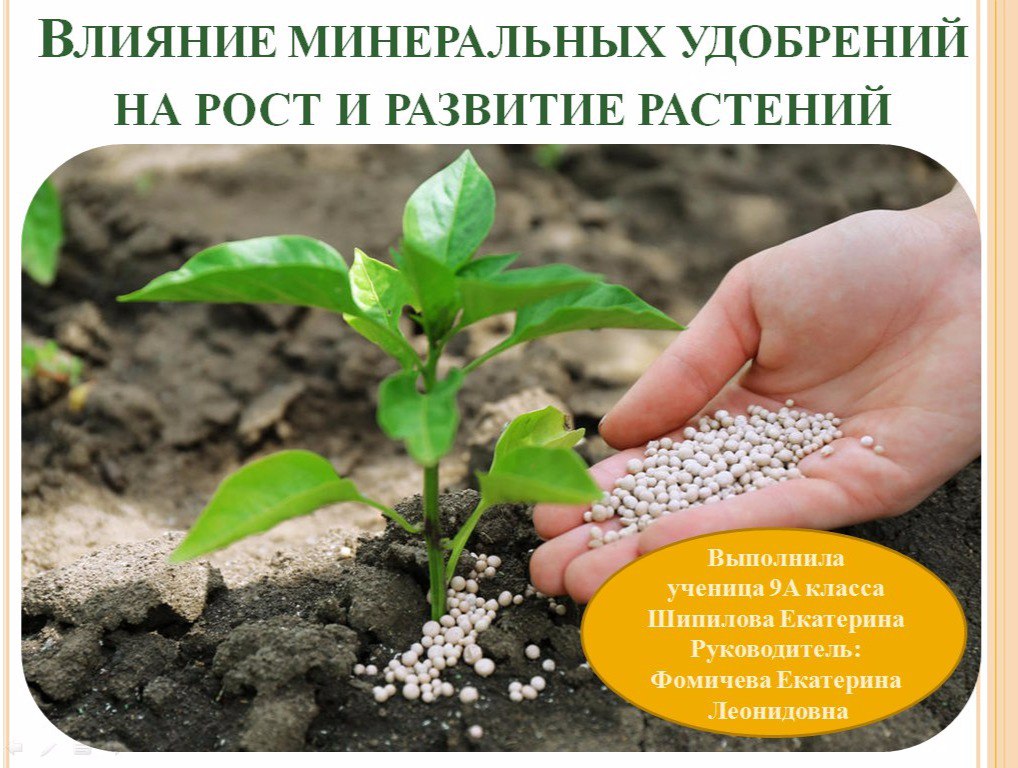 Тропический и аридный климат
