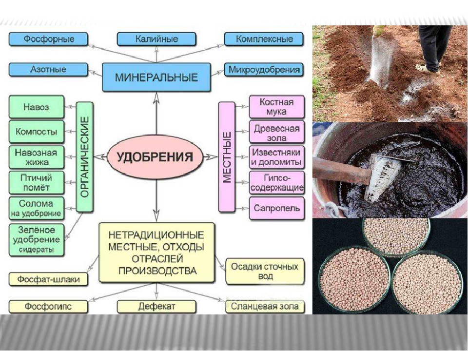 Добавление органических веществ