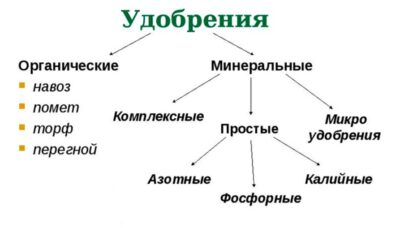 Специфика микроудобрений для овощных культур