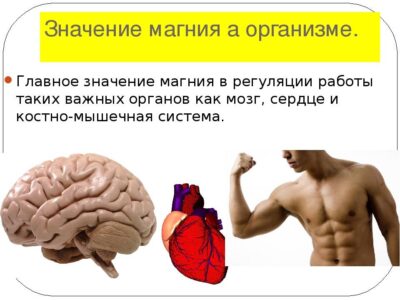 Как магний влияет на размер и форму плодов