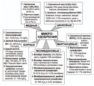 Лабораторный анализ растений