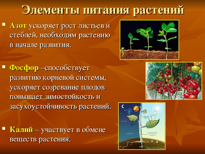4. Совместимость с другими удобрениями