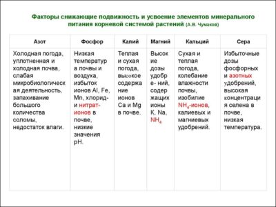 Почвенные микроорганизмы и их потребности в питательных веществах