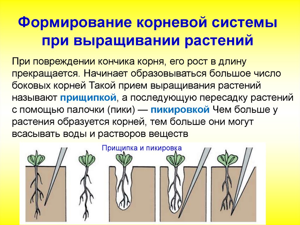 Увеличение урожайности