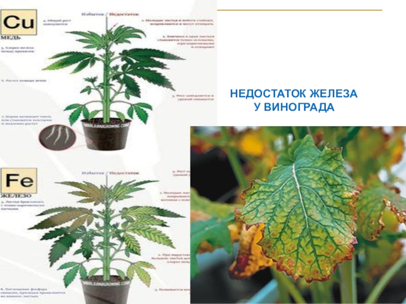 2. Условия окружающей среды