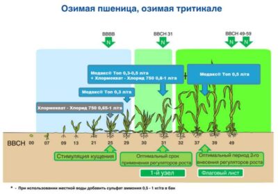 Значение микробиома для здоровья растений
