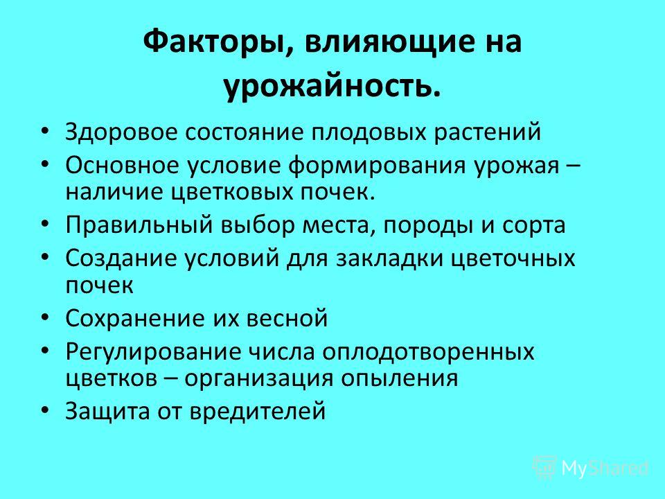 Симптомы дефицита цинка у растений