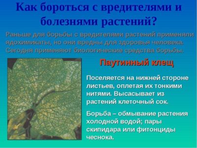 Температурные колебания и доступность железа