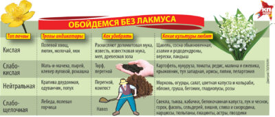 Какие микроудобрения оптимальны для цветущих растений?