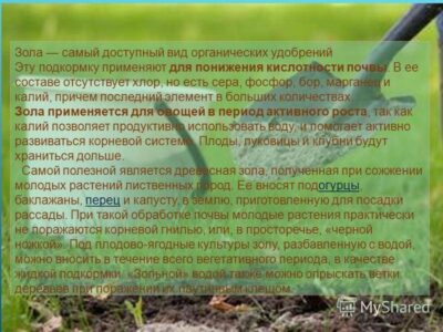 Сбалансированные удобрения и борьба с почвенной эрозией