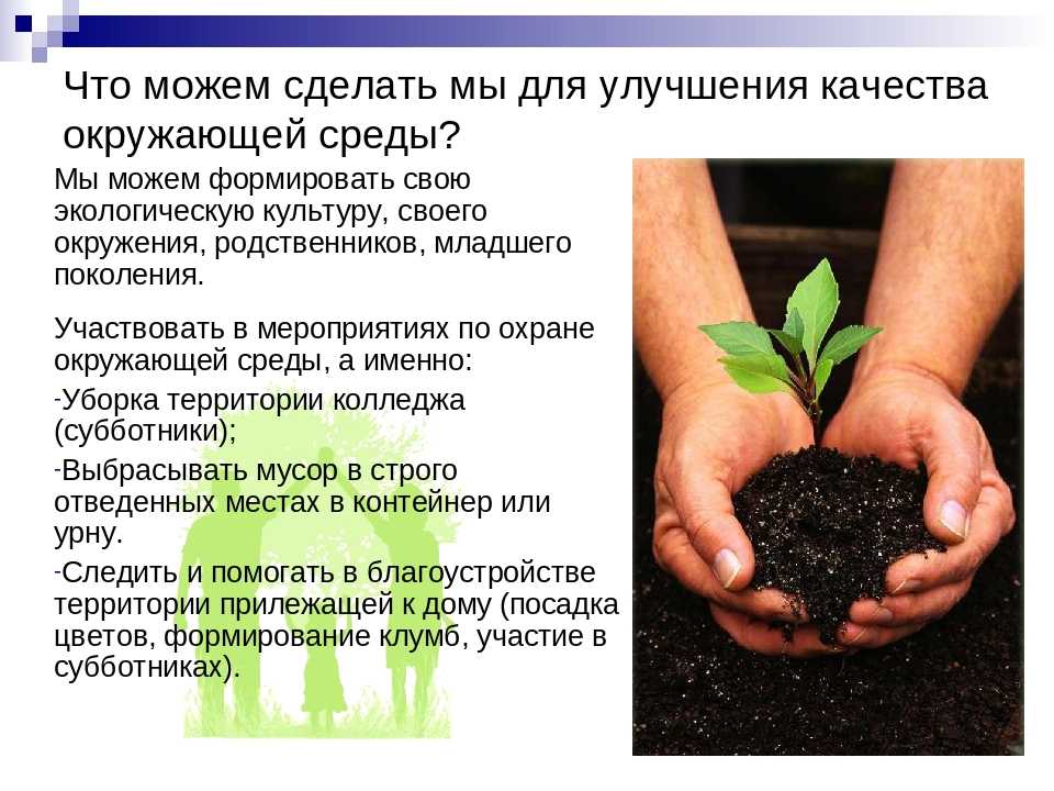 Преимущества применения железа для борьбы с болезнями