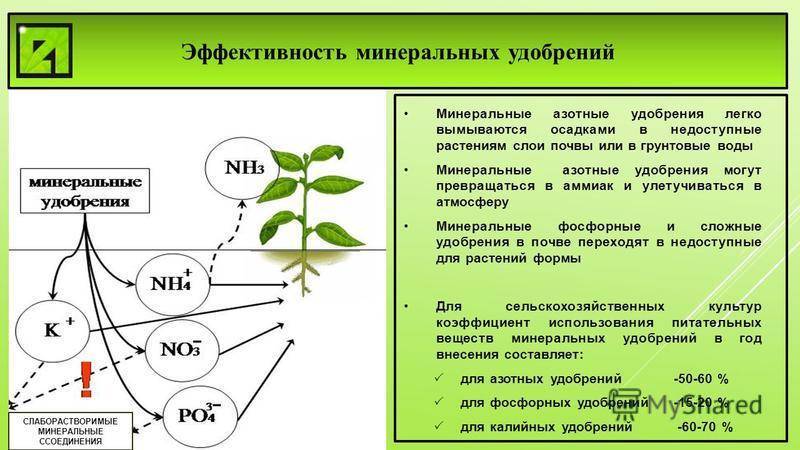Органические источники железа