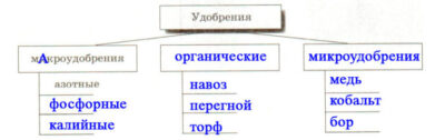 Умеренный климат