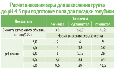 Лучшие сроки для добавления железа в почву